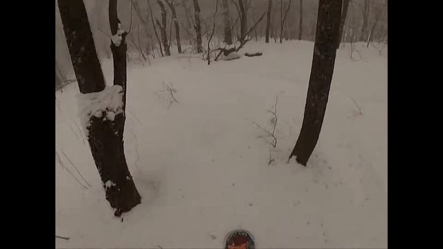 Туман на горе. ГЛК Волжский утес смотреть онлайн