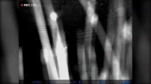 Ночная охота на бобра с Pulsar Digex 455. Запись на встроенный рекордер цифрового прицела.