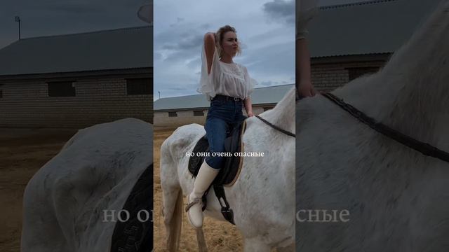 А вы согласны?