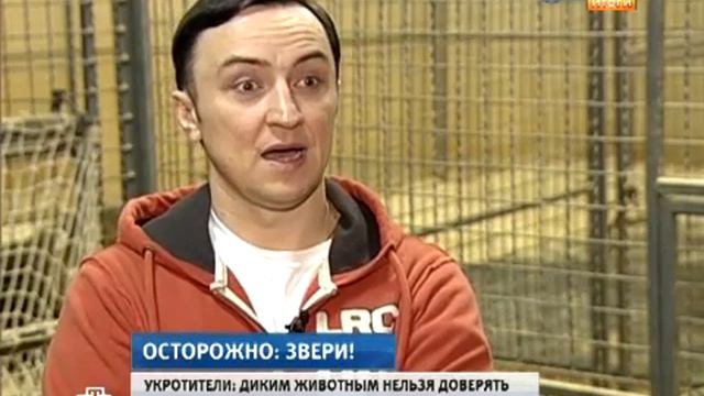 Осторожно: Звери! смотреть онлайн