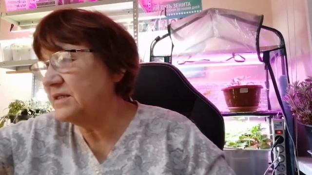 Сама себе не верю) Впервые укоренились черенки пеларгонии)Это оказалось так просто и быстро)) смотреть онлайн