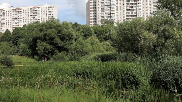 Яуза лето 2011 смотреть онлайн