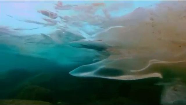Dennis Sheperd And Jonathan Mendelsohn - Bring Me Back (Video Edit - Rework Three G) смотреть онлайн
