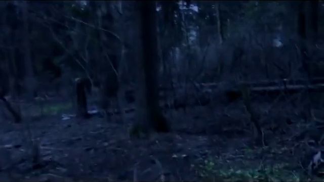 Тайна Слэндермэна. Тизер (2013) смотреть онлайн