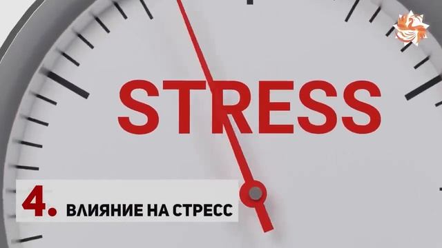 Ученые доказали опытным путем пользу медитаций. смотреть онлайн