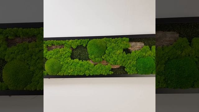 Ball Moss, Preserved Lichens and Natural Tree Bark Painting, Plant Wall, Mossart, Jolie Arts смотреть онлайн