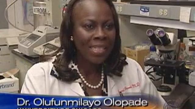 Cancer Study To Include Race? смотреть онлайн