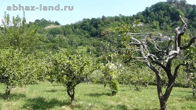 Дача-дом в Абхазии (Мясниково) смотреть онлайн