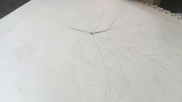 Pencil drawing maple leaf timelapse part 1 easy drawing #art #pencildrawing #mapleleaf смотреть онлайн
