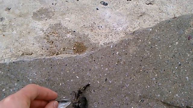 Одесса. Чёрное море-8 смотреть онлайн