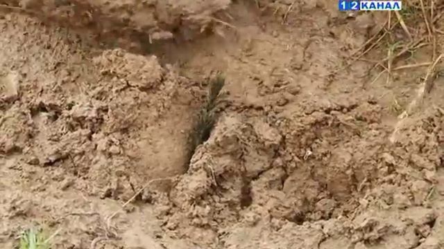 Чистый воздух в легкие кузбассовцев смотреть онлайн