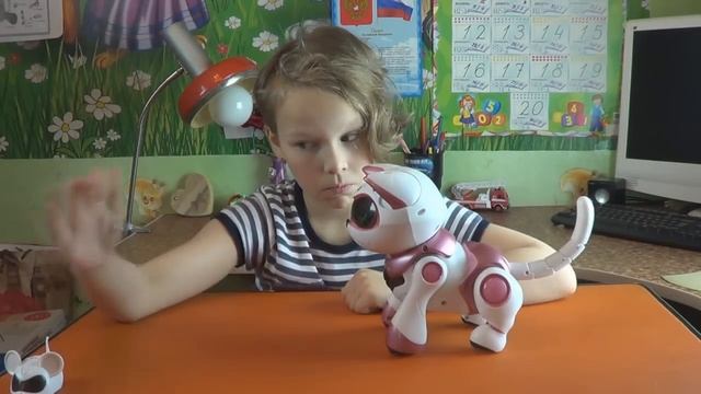 Творим чудеса! Обзор на кошку робота Китти. Teksta Robotic Kitty смотреть онлайн