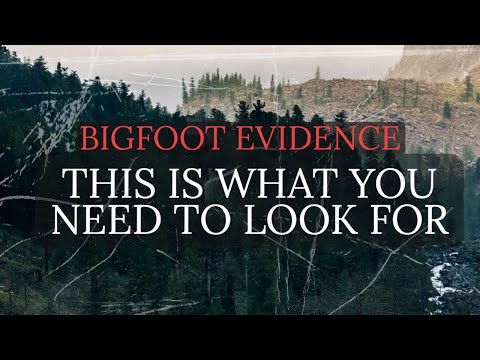 The Most Compelling Bigfoot Evidence смотреть онлайн