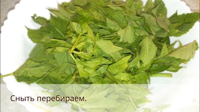 Рецепты Здорового Питания