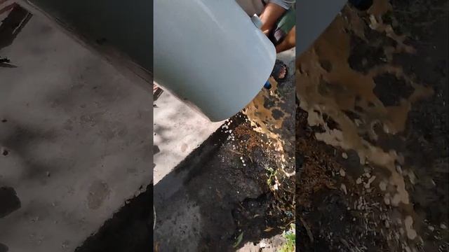 Ariston Tozalash. Tez Va Sifatli.