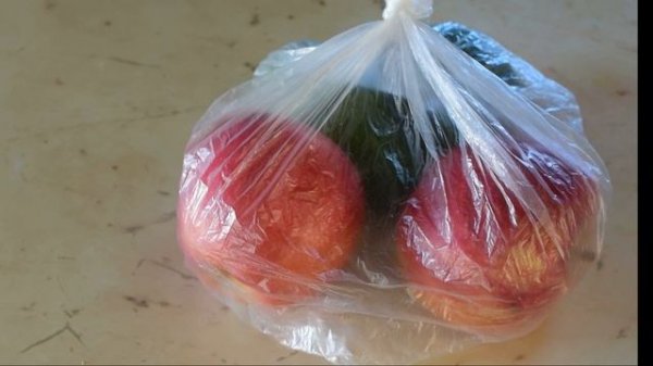 9-2019 Как выбирать авокадо и что делать, если авокадо твердый и незрелый?