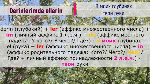 Турецкий по песням _ #36 Cem Adrian - Ben seni çok sevdim _ 278 день смотреть онлайн