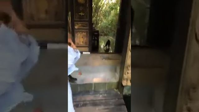 Достопримечательности Самуи. Культурный центр. Каменные статуи смотреть онлайн