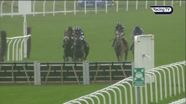 We backed her at 100-1! Silver Vision pulls off a stunning success - Racing TV смотреть онлайн