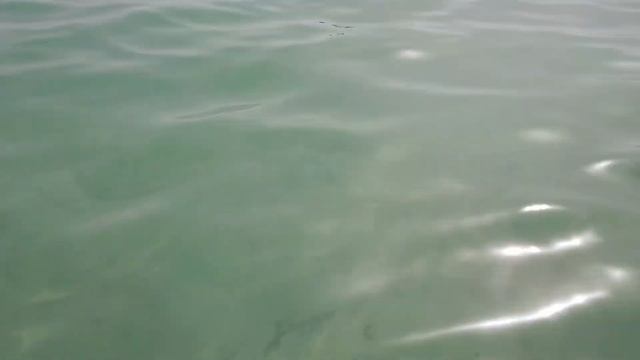 Море, Джерба, сентябрь 2019 смотреть онлайн