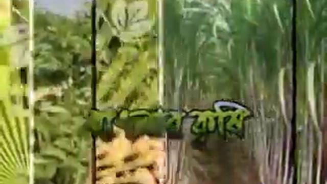 Banglar Krishi Episode no 355 (Rose Flower Cultivation+ Family Fish Farming) смотреть онлайн