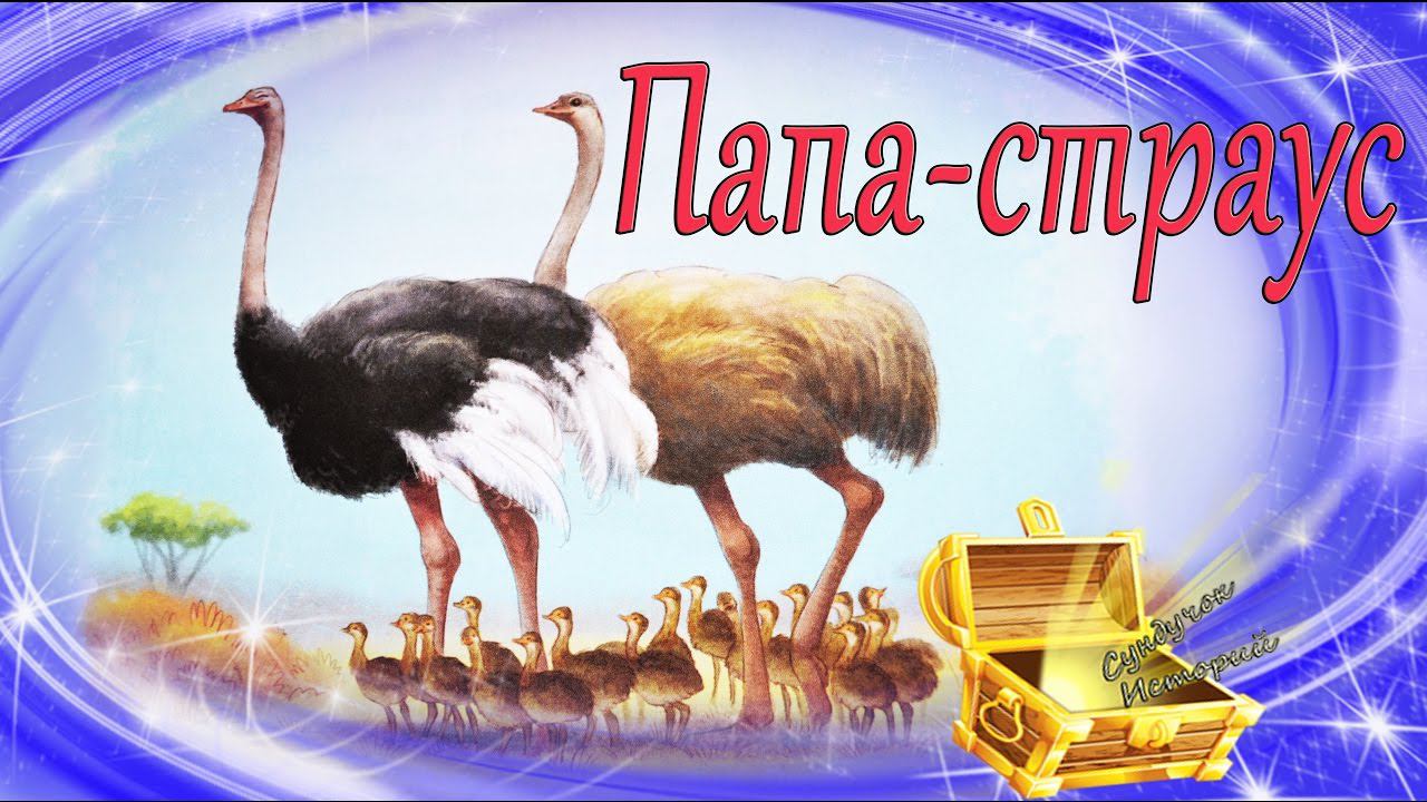 Папа Страус. Познавательный и развивающий мультфильм. Обучающий мультик про животных смотреть онлайн