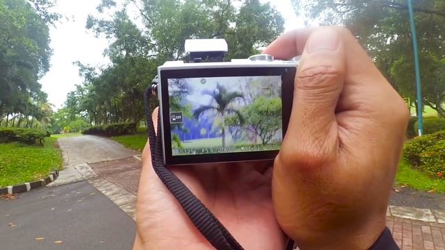 FOTO CEWE KEDY GOLF NIKON 1 J5 смотреть онлайн