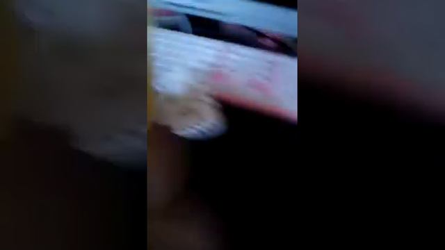 Мой питомец камень смотреть онлайн