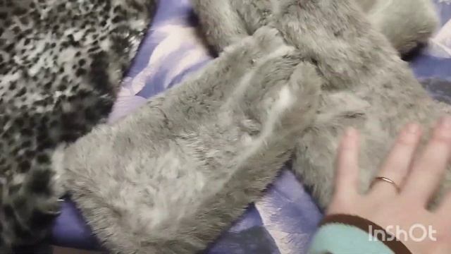 мои продажи на Vinted #продажи #бизнес #винтаж #секондхэнд #мода2023 #стиль