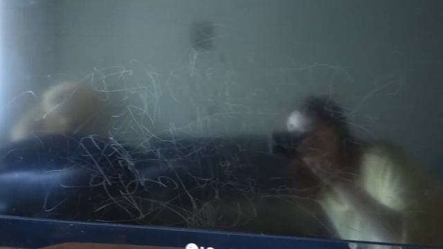 VLOG: Мясо по Французски, Лавандовый лак, Игры в планшете, Настольная игра смотреть онлайн