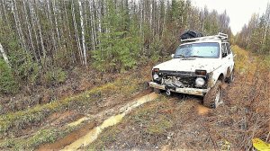 ''ТАЙГА'' ЗАГОТОВИЛ СМОЛЯК! ЧТО ЗА ВЫШКА БЫЛА В ТАЙГЕ! ВЫВОЖУ ВЕСЬ МЕТАЛЛ