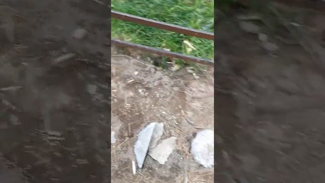 Кулинарное творчество для всех возрастов 