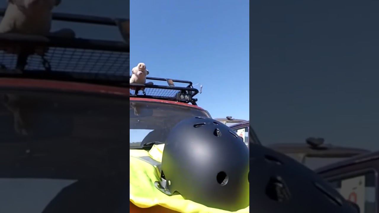 автопарк нашего клуба #offroad #оффроуд #нива #паджеро #mitsubishi #тагаз смотреть онлайн