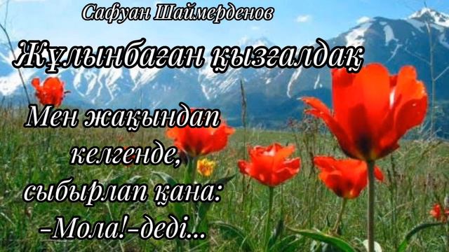 Жұлынбаған қызғалдақ.Мее жақындап келгенде сыбырлап қана-Мола !-деді... смотреть онлайн