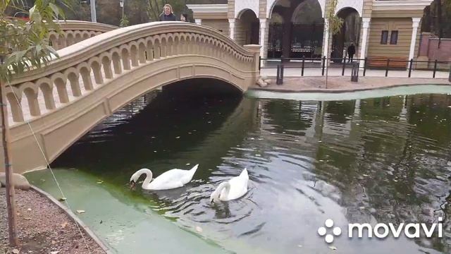 Одесский городской зоопарк. Осень 2020 года.Звери. смотреть онлайн