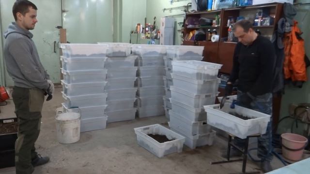 Бизнес на червях благодаря кроликам/Технология производства в буртах и ящиках смотреть онлайн