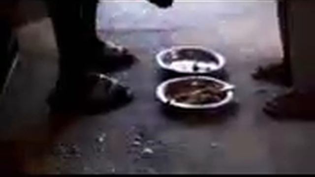 THE GAMBIA Places JINACK ISLAND The Paradise Island🙏🙏❤💪💪💪 смотреть онлайн