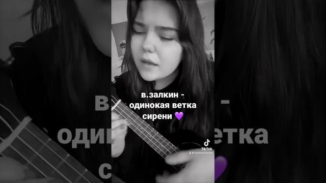 в. залкин - одинокая ветка сирени 💜 смотреть онлайн
