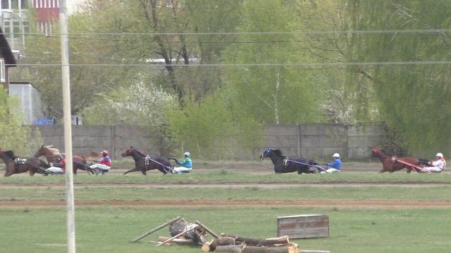 2 Раменский ипподром 04.05.2019 - ПЕРВОМАЙСКИЙ ПРИЗ