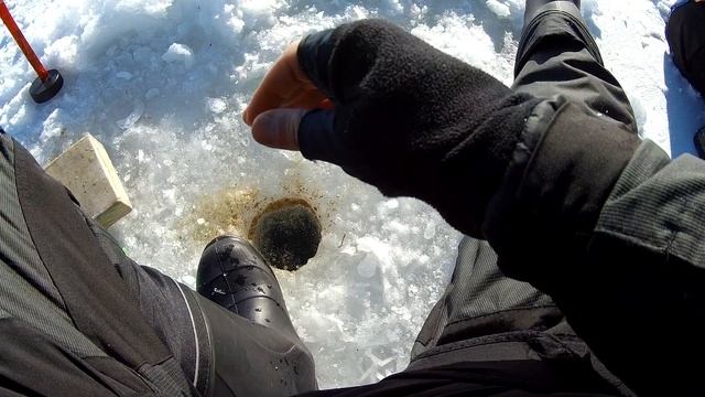 Секреты чемпиона. Как ловить плотву. Можайское водохранилище. смотреть онлайн