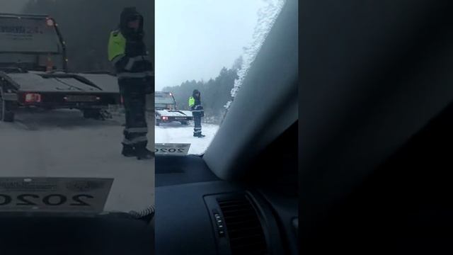 М5 Бобруйск Жлобин смотреть онлайн