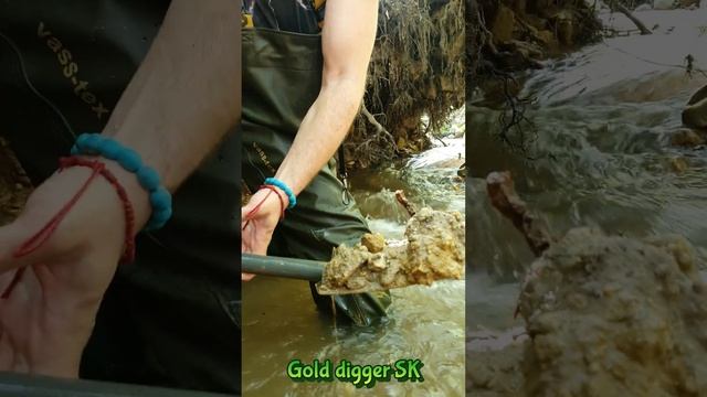 Golden Treasure in the Creek: Panning with My Trusty Dog Companion смотреть онлайн