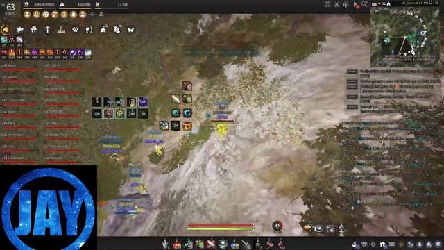 [BDO NA] Node War 45 man | 2v2 | Ranger Succession PvP смотреть онлайн