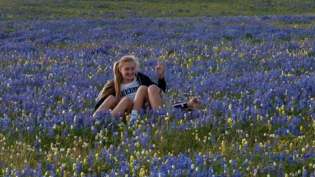 Lavender Blue смотреть онлайн