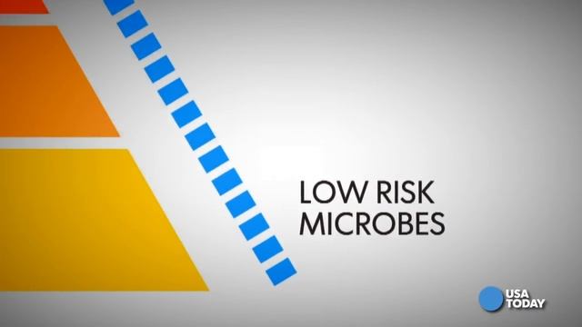 Biolabs work with deadly diseases in your backyard смотреть онлайн