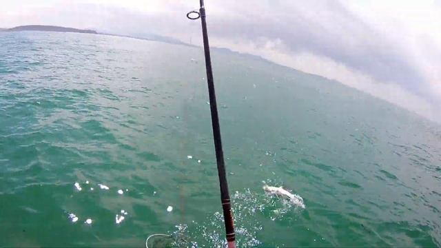 Ловля камбалы тавайза большой камень приморский край 2019 смотреть онлайн