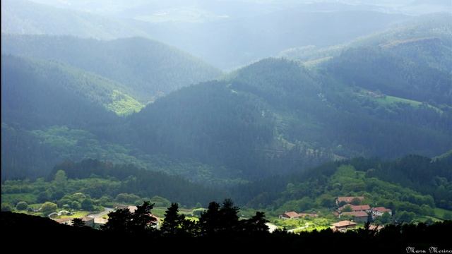 Boletus aereus - Hongo negro - Bronze Bolete (4K) смотреть онлайн