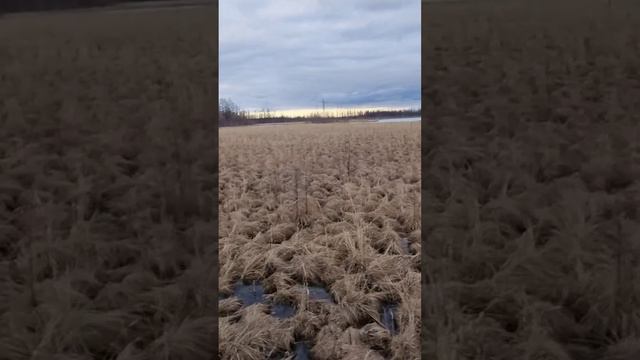 Полное видео смотрите уже на нашем канале #охота #рыбалка #вездеходы #Якутия смотреть онлайн