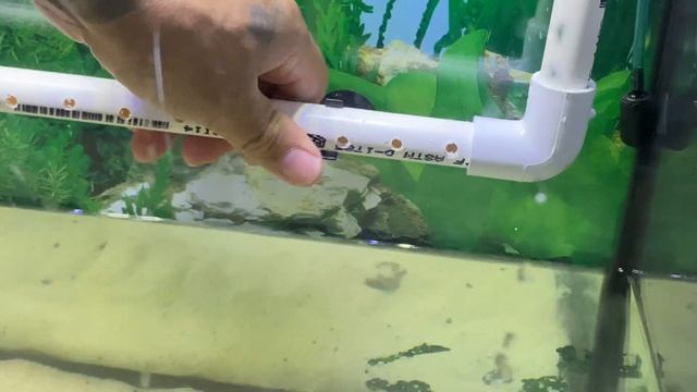 HOW TO MODIFY YOUR CANISTER FILTER FOR YOUR TURTLE TANK! смотреть онлайн