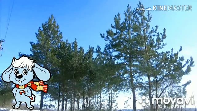 Зимняя сказка природы город Дюртюли 2020 год / повтор видео / смотреть онлайн